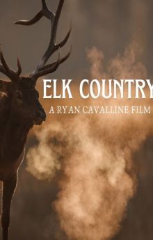 Elk Country Elk Country