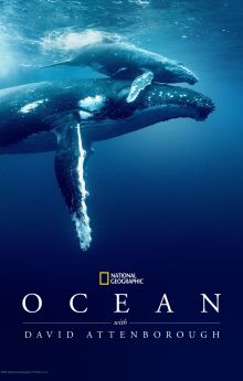 Ocean with David Attenborough Ocean with David Attenborough