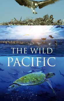 The Wild Pacific The Wild Pacific